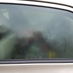 car-window (1)